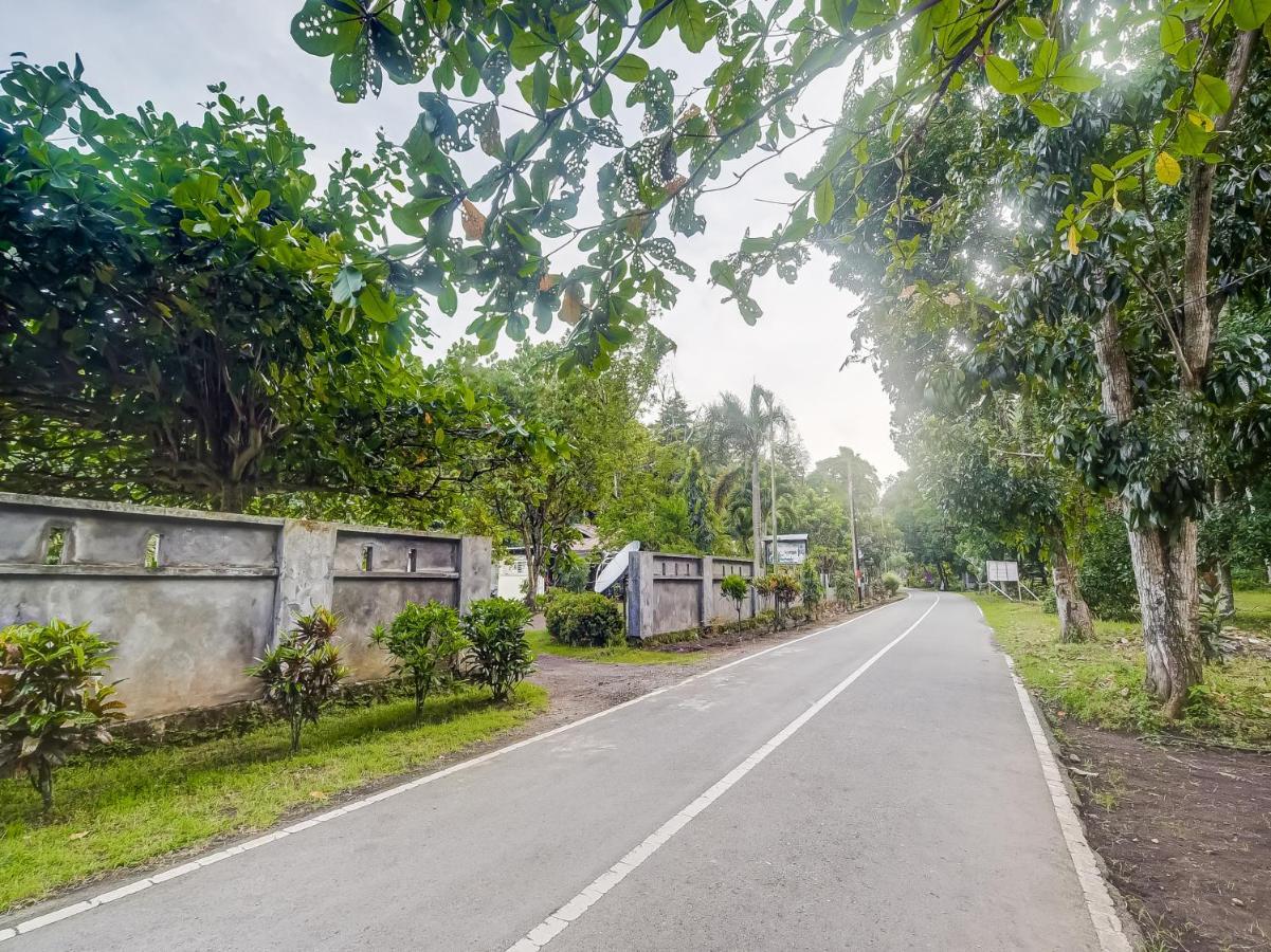 Oyo 90988 Tangkoko Jungle Homestay Rinondoran Exteriér fotografie