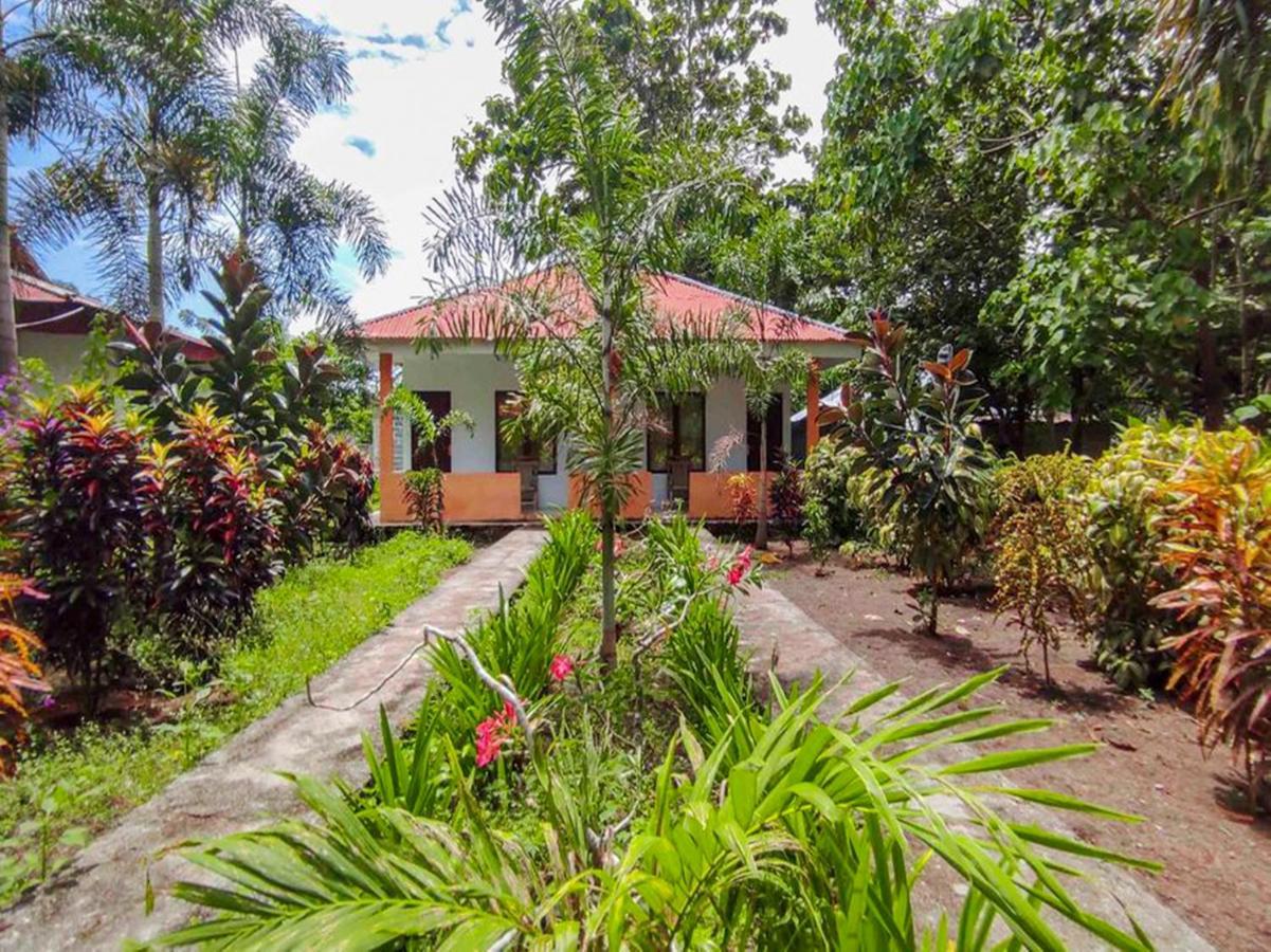 Oyo 90988 Tangkoko Jungle Homestay Rinondoran Exteriér fotografie
