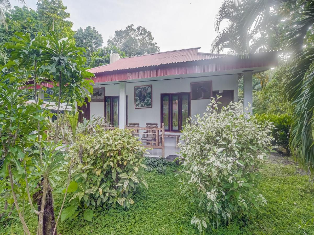Oyo 90988 Tangkoko Jungle Homestay Rinondoran Exteriér fotografie