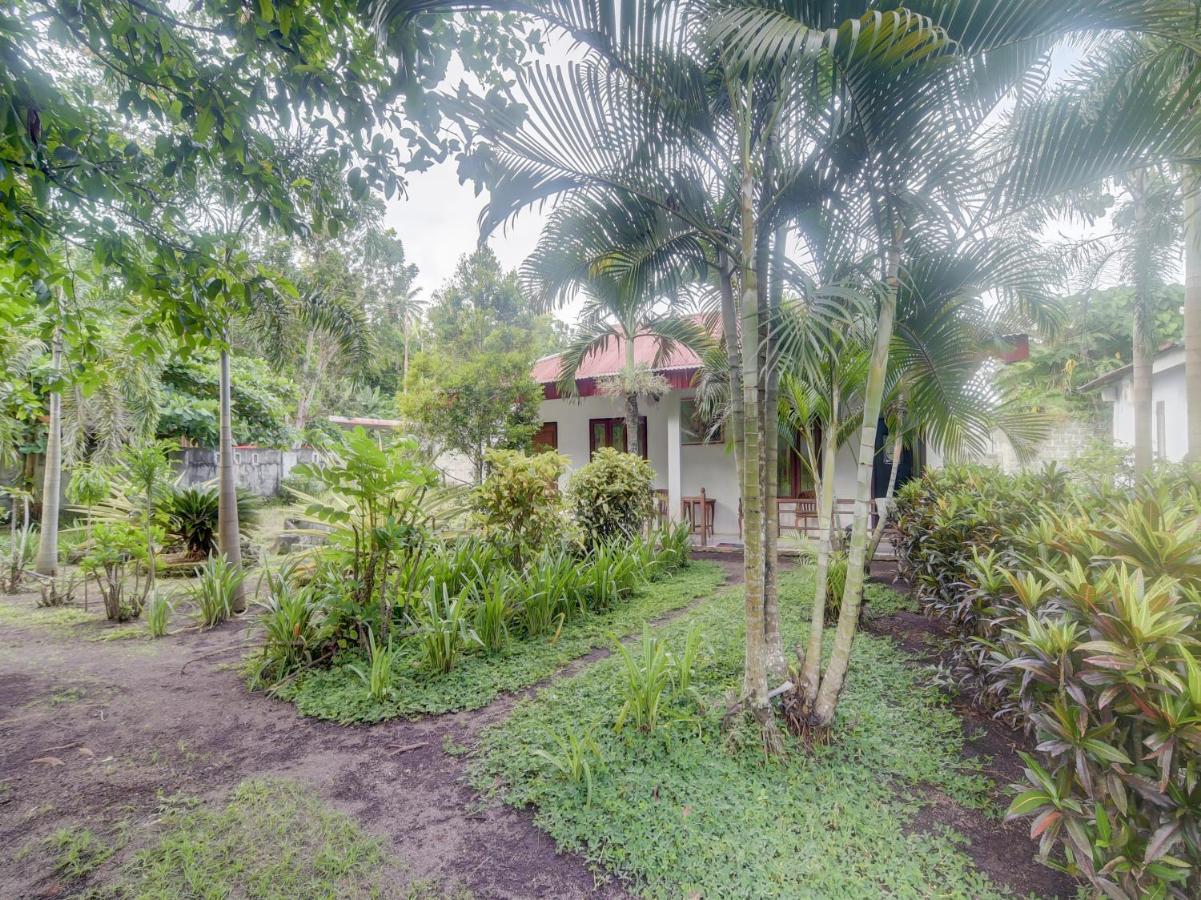 Oyo 90988 Tangkoko Jungle Homestay Rinondoran Exteriér fotografie