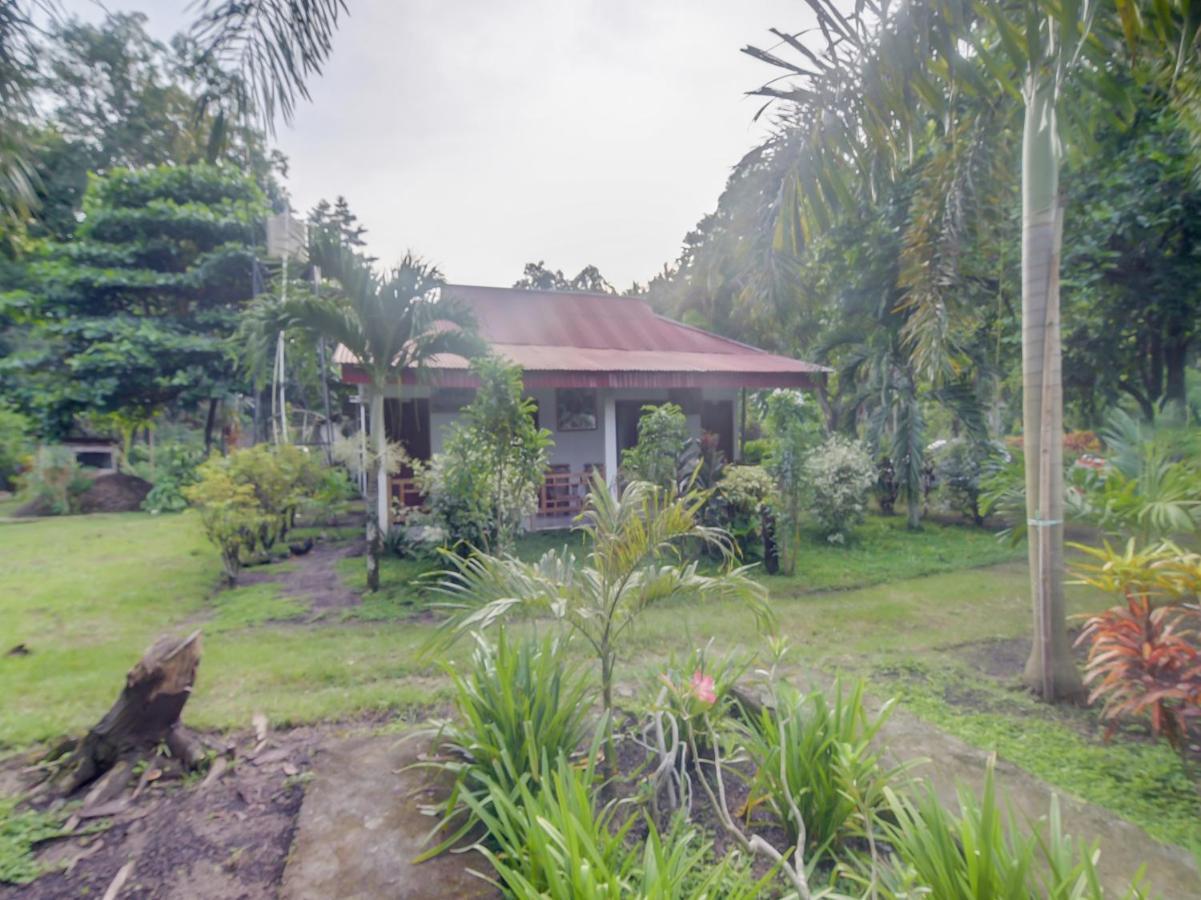 Oyo 90988 Tangkoko Jungle Homestay Rinondoran Exteriér fotografie